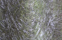 Stacksteads fibreglass roof work